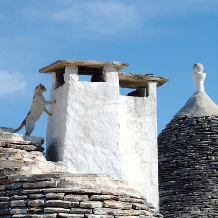 B&B Corso Trieste E Trento Alberobello Eksteriør bilde