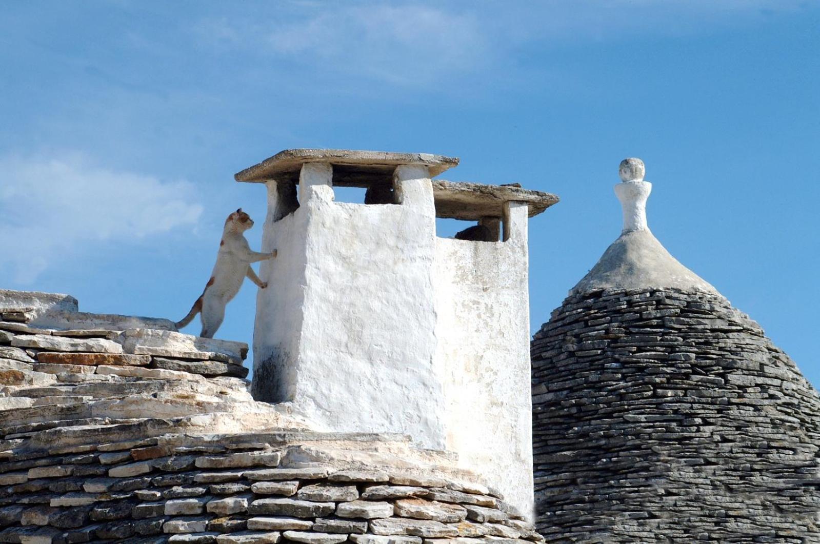 B&B Corso Trieste E Trento Alberobello Eksteriør bilde